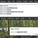 Imagen para el artículo titulado La descacharrante diferencia entre Google y Bing, en una imagen